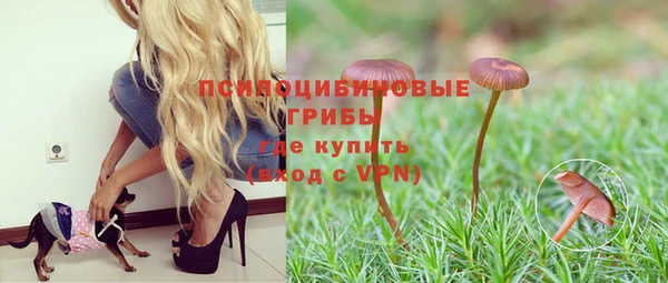 эйфоретик Волоколамск