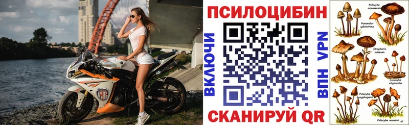 Галлюциногенные грибы мицелий  Ворсма 